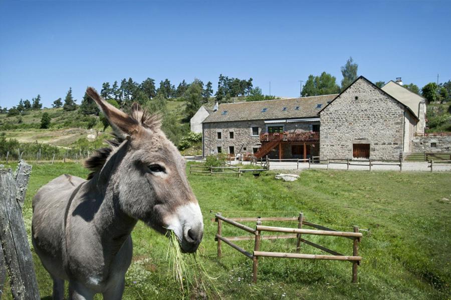 Logis Hotels Les Granges De Bigose Rimeize Zewnętrze zdjęcie